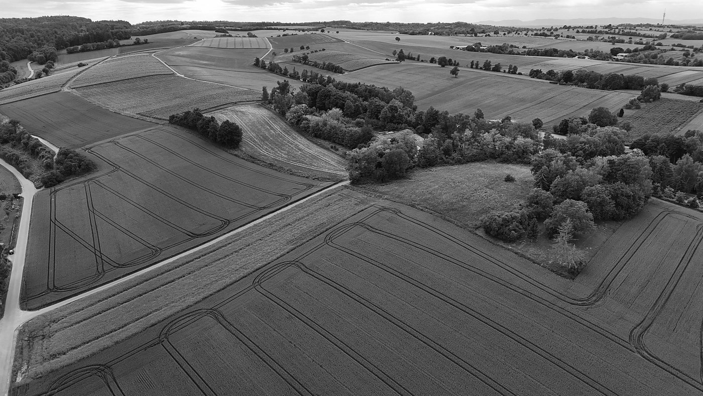 Aerial view of cultivated farmland